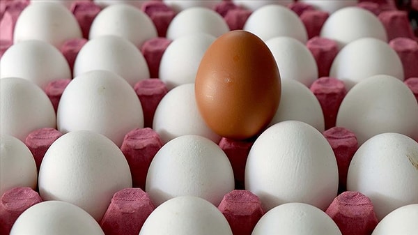 So, Which Foods Keep You Full for Hours?