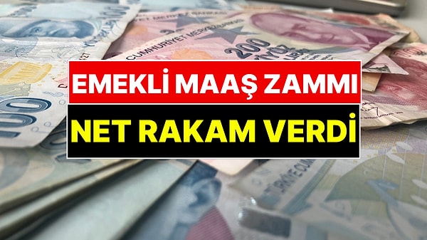 Ünlü Ekonomist Emekli Zammında Beklenen Rakamı Açıkladı