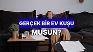 Sen Yüzde Kaç Evcimensin?