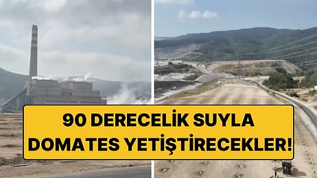 90 Derecelik Suyla Domates Yetiştirecekler: Türkiye’de Bir İlk