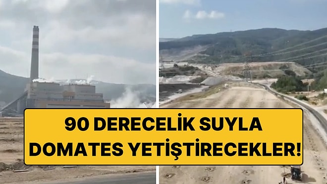 90 Derecelik Suyla Domates Yetiştirecekler: Türkiye’de Bir İlk