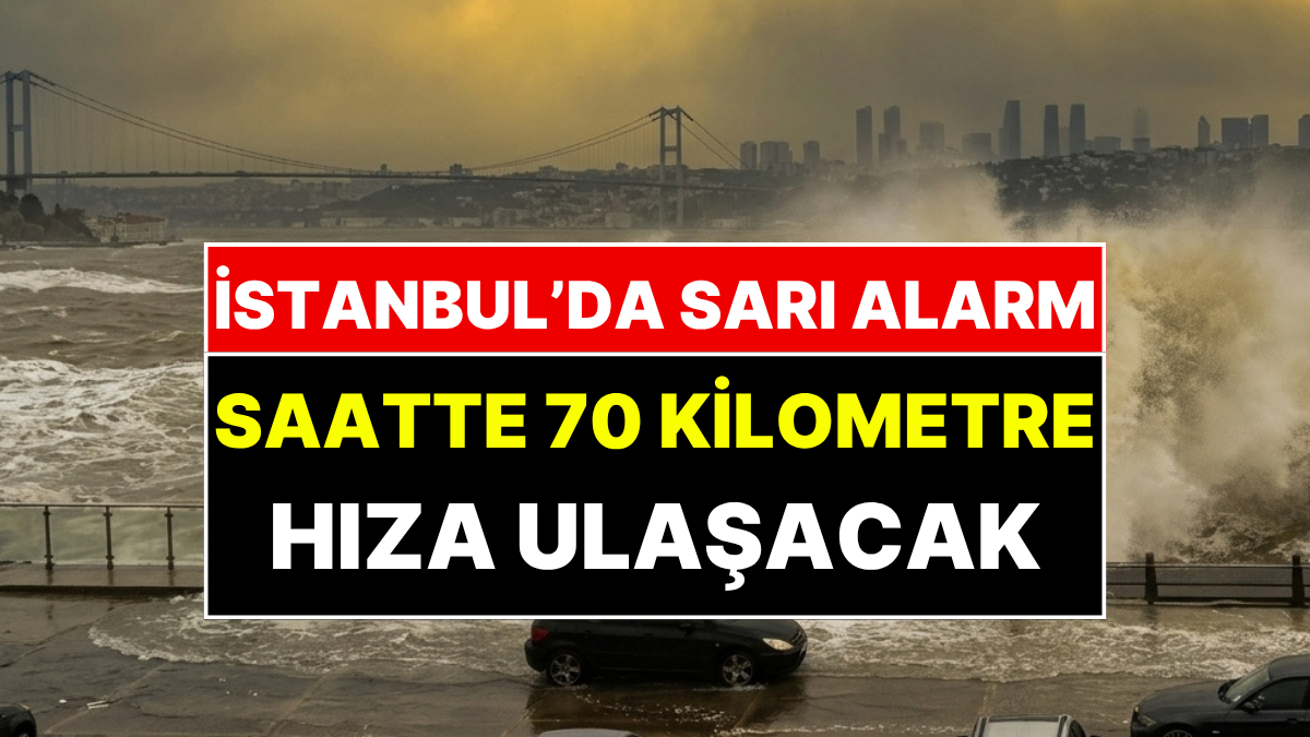 s-d3f0d6a63fa27c9e28a5e44a8f3a8b38b5b94e7d.jpg