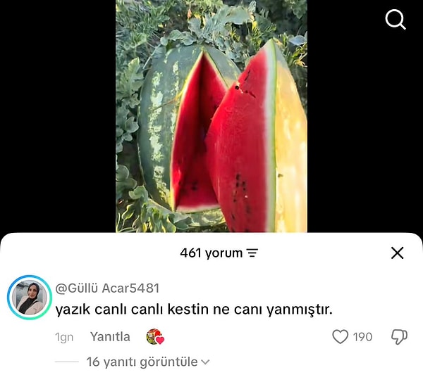 Fazla empati böyle bir şey.