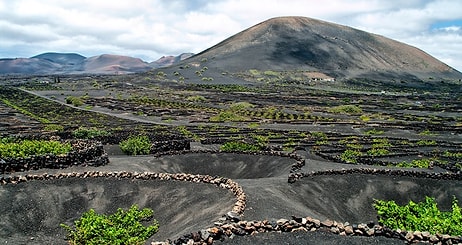 Agricultural Miracle in Volcanic Ash: The 300-Year Story of Lanzarote's Waterless Vineyards