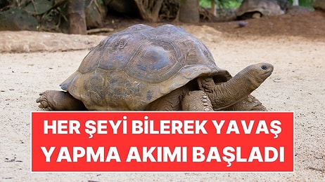 Her Şeyi Bilerek Yavaş Yapma Akımı Başladı