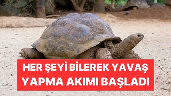 İnsanlar Artık Günlük İşlerini Bilerek Yavaş Yapıyor