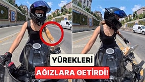 Kedinin Kutusu Açıldı: Kedisini Motosikletle Taşıyan Kadın Yürekleri Ağızlara Getiren O Anları Paylaştı