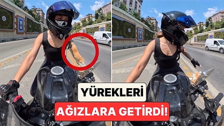 Kedinin Kutusu Açıldı: Kedisini Motosikletle Taşıyan Kadın Yürekleri Ağızlara Getiren O Anları Paylaştı