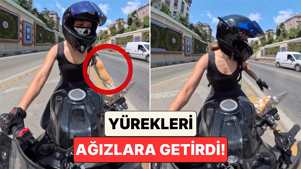 Kedinin Kutusu Açıldı: Kedisini Motosikletle Taşıyan Kadın Yürekleri Ağızlara Getiren O Anları Paylaştı