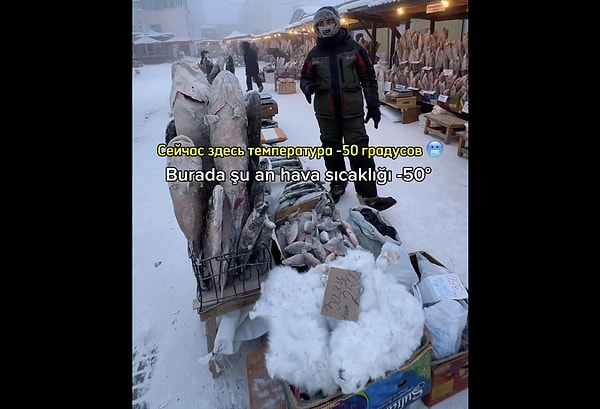 Hayat her daim canlı.