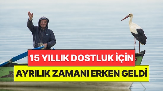 Yaren Leylek İçin Ayrılık Zamanı Geldi: Bu Sefer Erken Göçe Hazırlanıyor