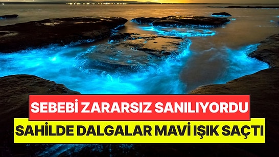 Dalgalar Geceleyin Mavi Işıklar Saçmaya Başladı: Görmek İçin Her Yerden Akın Ediyorlar