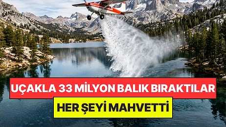 Ülkedeki Göllere 33 Milyon Balık Bıraktıklar: Başlarına Büyük Bela Oldu