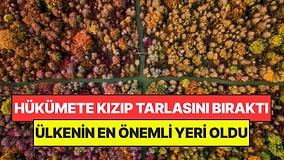 Milyonluk Tarlasını Kızıp Terk Etti: 35 Yıl Sonra Ülkenin En Önemli Parkına Dönüştü