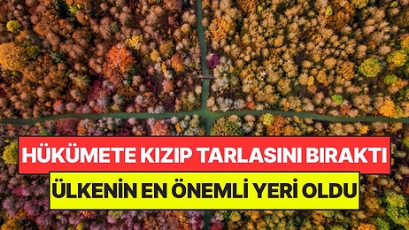 Milyonluk Tarlasını Kızıp Terk Etti: 35 Yıl Sonra Ülkenin En Önemli Parkına Dönüştü
