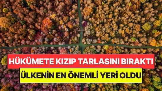 Milyonluk Tarlasını Kızıp Terk Etti: 35 Yıl Sonra Ülkenin En Önemli Parkına Dönüştü