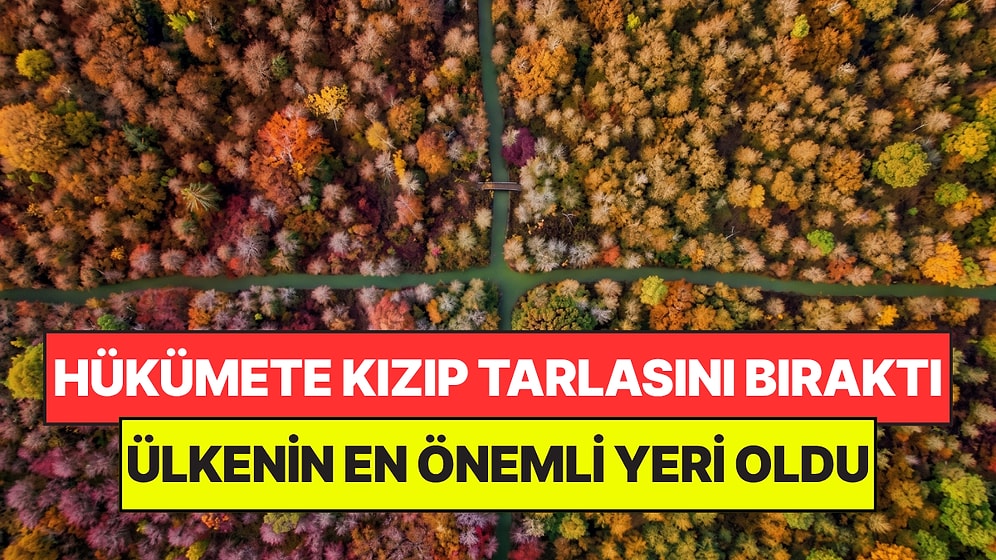 Milyonluk Tarlasını Kızıp Terk Etti: 35 Yıl Sonra Ülkenin En Önemli Parkına Dönüştü