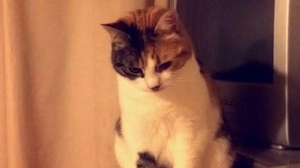 Ailenin Aylar Süren Arama Çalışmaları Tam On Yıl Boyunca Sonuçsuz Kaldı