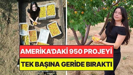 Herkese İnat Çorak Araziye 500 Ağaç Dikerek 4 Ton Verim Aldı: Türkiye Birincisi Oldu