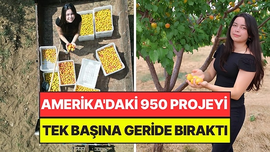 Herkese İnat Çorak Araziye 500 Ağaç Dikerek 4 Ton Verim Aldı: Türkiye Birincisi Oldu