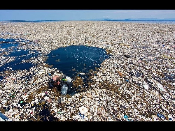 Terk edilen balıkçılık ekipmanları deniz canlıları için hayalet avcılık tehlikesi yaratıyor