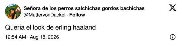 "Erling Haaland'ın görünüşü"