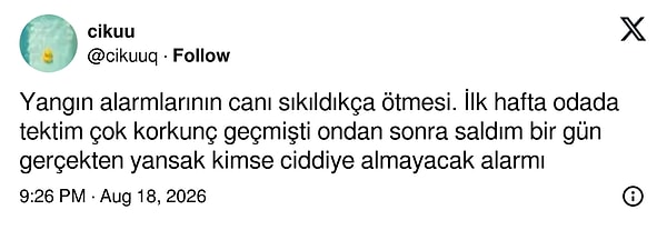 👇