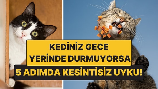 Kediniz Gece Yerinde Durmuyorsa Çözümü: 5 Adımda Kesintisiz Uyku
