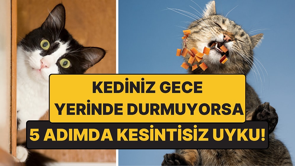 Kediniz Gece Yerinde Durmuyorsa Çözümü: 5 Adımda Kesintisiz Uyku