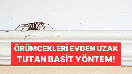 Yaz Aylarında Örümcekleri Evden Uzak Tutan Basit Yöntem: Anında Gidiyorlar