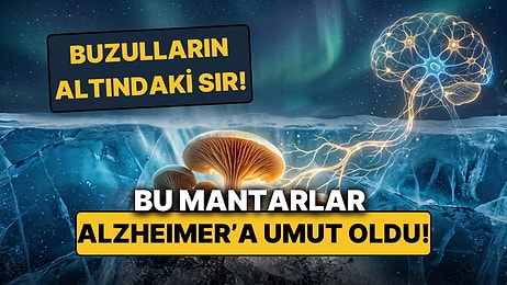 Dondurucu Buzulların Altındaki Mucize: Antarktika Mantarları Alzheimer'a Umut Oldu
