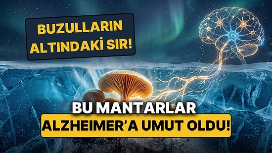 Dondurucu Buzulların Altındaki Mucize: Antarktika Mantarları Alzheimer'a Umut Oldu