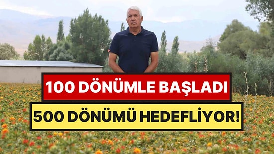 35 Yıllık Memurdu, Ekime Başladı: 4 Yılda Aspir Üretimini 260 Dönüme Çıkardı