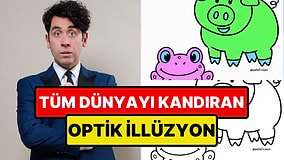 Gözlerinize İnanmayın: Viral Olan İllüzyonda Var Olmayan Renkleri Göreceksiniz!
