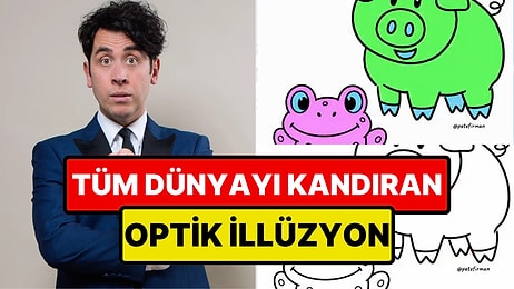 Gözlerinize İnanmayın: Viral Olan İllüzyonda Var Olmayan Renkleri Göreceksiniz!