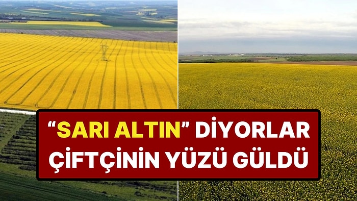 Ziraat Odası Başkanı "Yılın Kazanan Ürünü" Dedi: Bir Yılda Yüzde 100 Arttı