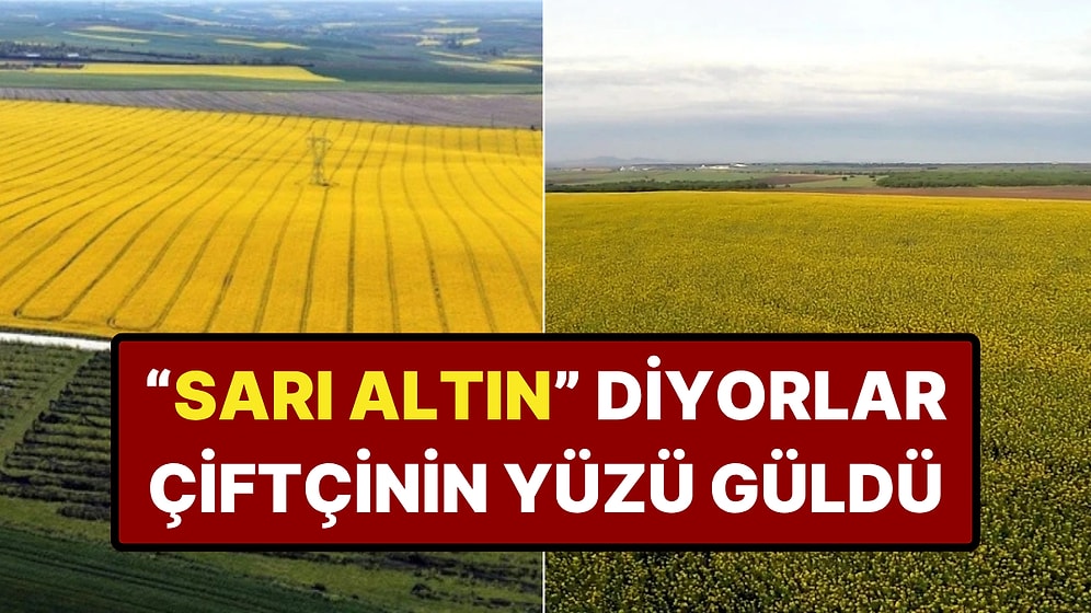 Ziraat Odası Başkanı "Yılın Kazanan Ürünü" Dedi: Bir Yılda Yüzde 100 Arttı