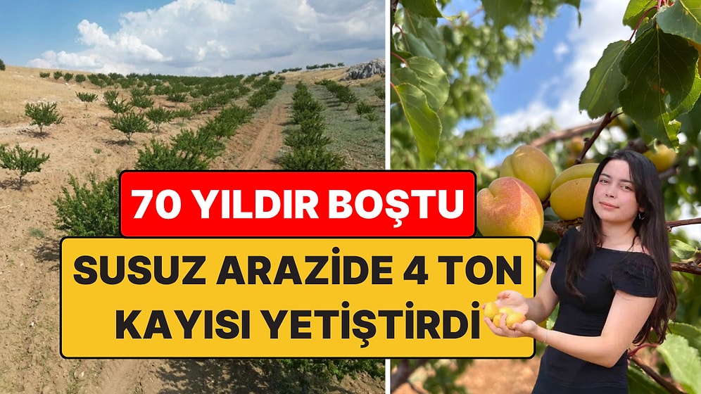 17 Yaşındaki Öğrencinin Susuz Tarım Projesi: 4 Ton Kayısı Yetiştirdi