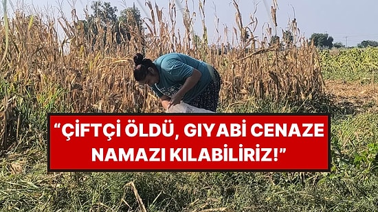 Tarlaya Adımını Atan Perişan Oldu, Çiftçinin Yüzü Gülmedi