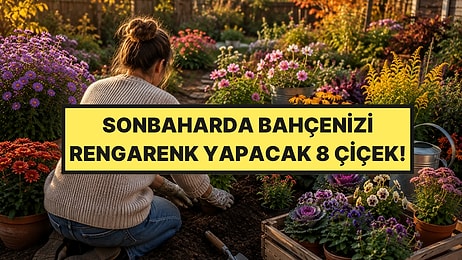Bahçe Uzmanı Sonbaharda Muhteşem Renkler İçin Hemen Dikmeniz Gereken 8 Çiçeği Açıkladı