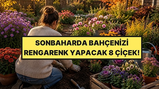Bahçe Uzmanı Sonbaharda Muhteşem Renkler İçin Hemen Dikmeniz Gereken 8 Çiçeği Açıkladı
