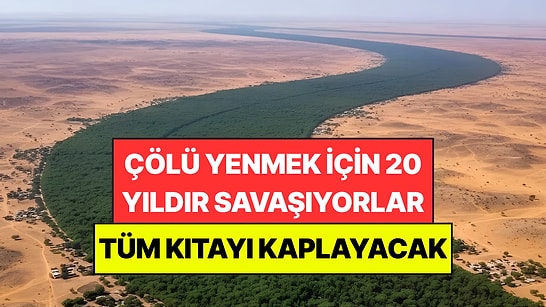 Çölü Durdurmak İçin 20 Yıldır Doğayla Savaşıyorlar: Hedefleri Tüm Kıtayı Kaplamak
