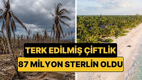 Kimsenin İstemediği Çiftliği Aldılar: 87 Milyon Sterlinlik Servete Dönüştü
