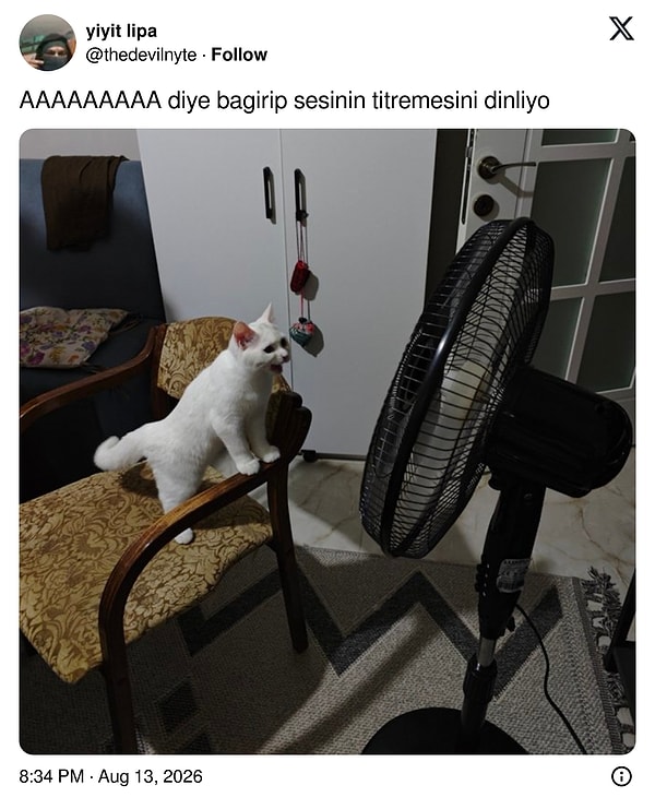 Çok iyi aktivite!