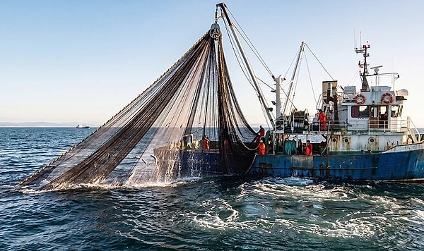 Fishermen's Net Suddenly Became Heavy