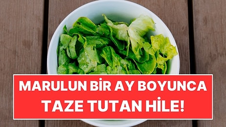Marulun Bir Ay Boyunca Bozulmasını Önleyen Mutfak Tüyosu