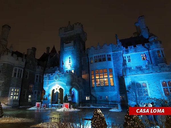 Drake took things to a whole new level: he reserved an entire castle in Toronto for his date with Pinkchyu!