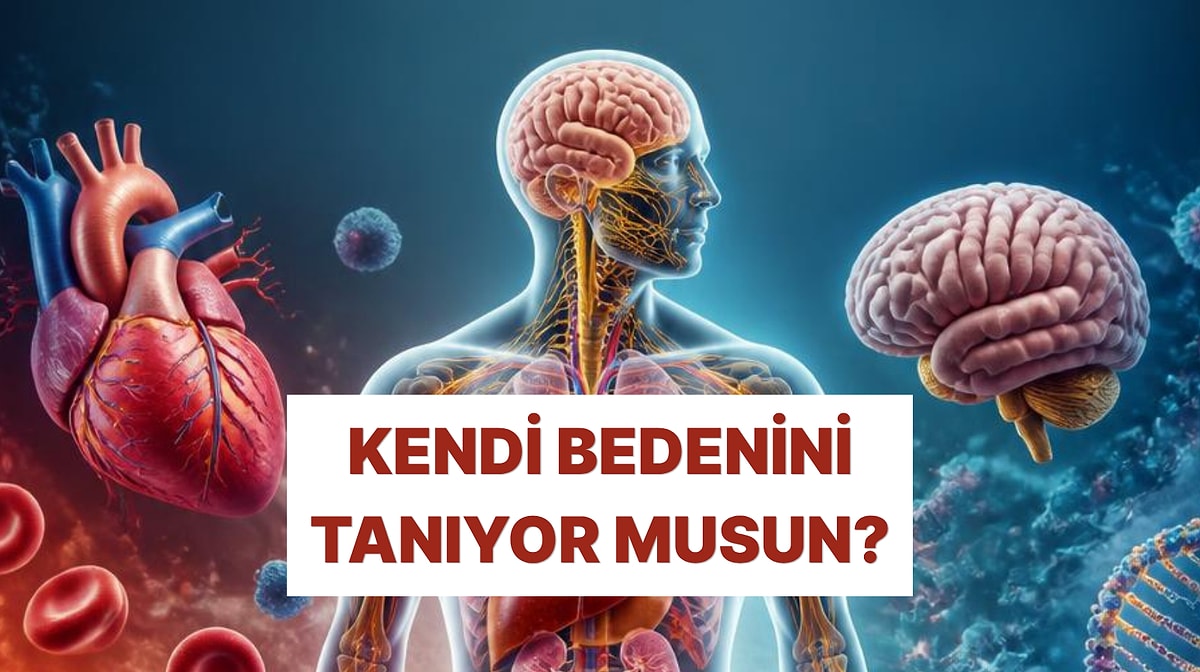 "Biyolojim İyidir" Diyenleri Görelim: Kendi Bedenini Ne Kadar Biliyorsun?