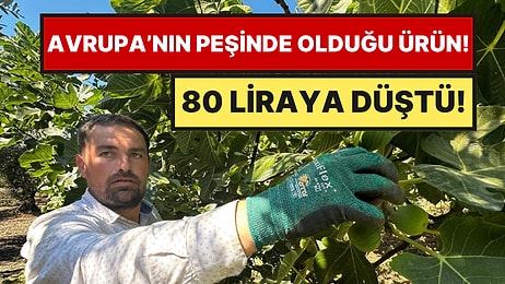Yerli Ürünün Fiyatı 130 Liradan 80’e Düştü: Kraliyet Ailesinin de Sofrasına Giriyor