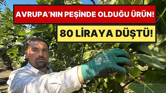 Yerli Ürünün Fiyatı 130 Liradan 80’e Düştü: Kraliyet Ailesinin de Sofrasına Giriyor